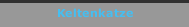 Keltenkatze